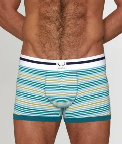 Bluebuck Mini Stripe Trunk