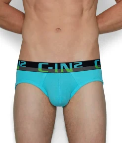 C-IN2 C-Theory Brief