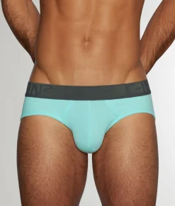 C-IN2 C-Theory Brief