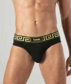 Leader Invictus Brief