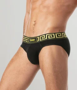 Leader Invictus Brief