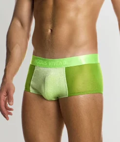 Modus Vivendi Delusion Trunk