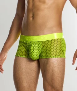 Modus Vivendi Illusion Trunk