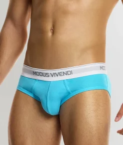 Modus Vivendi Staple Brief