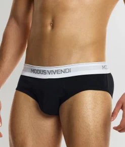 Modus Vivendi Staple Brief
