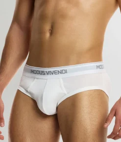 Modus Vivendi Staple Brief