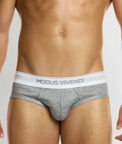 Modus Vivendi Staple Brief