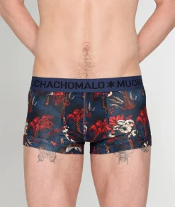 Muchachomalo Palm Birds Trunk