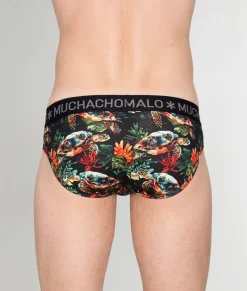 Muchachomalo Turtle Brief