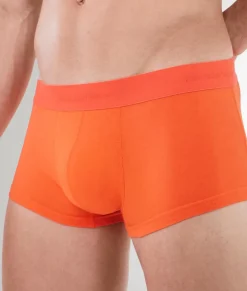 Rounderbum Essentials Hipster Trunk