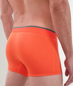 Rounderbum Essentials Trunk