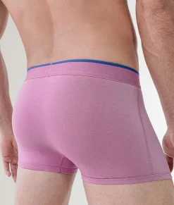 Rounderbum Essentials Trunk