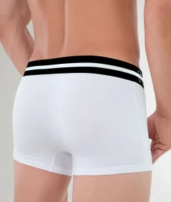 Rounderbum Taste Trunk