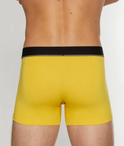 Unsimply Stitched Solid Trunk