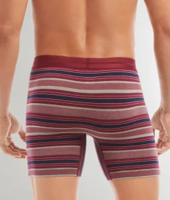 2(X)ist Dream Boxer Brief