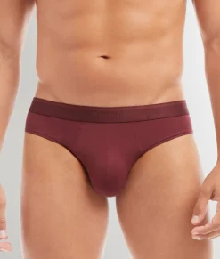 2(X)IST Electric Brief