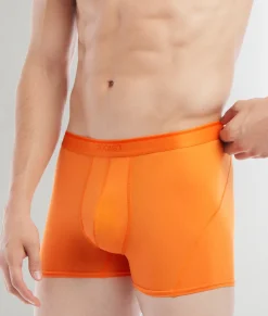 2(X)IST Electric Trunk